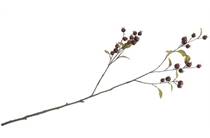 Coco Maison COCO MAISON accessoire Cornus Berry kunstbloem H100cm